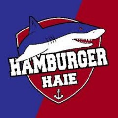 HamburgerHaie47