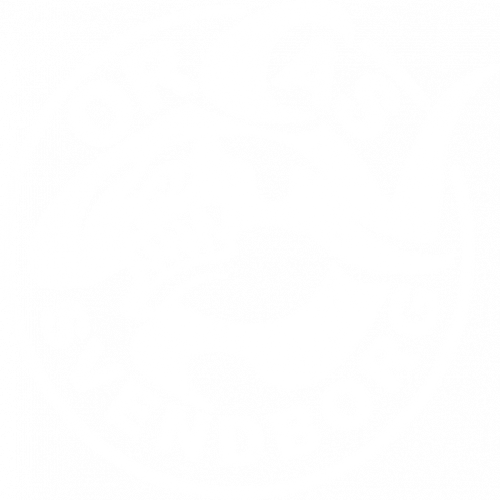 Svendborg Orcas