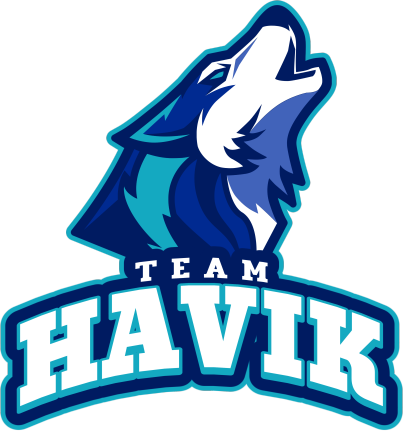 Team HaviK