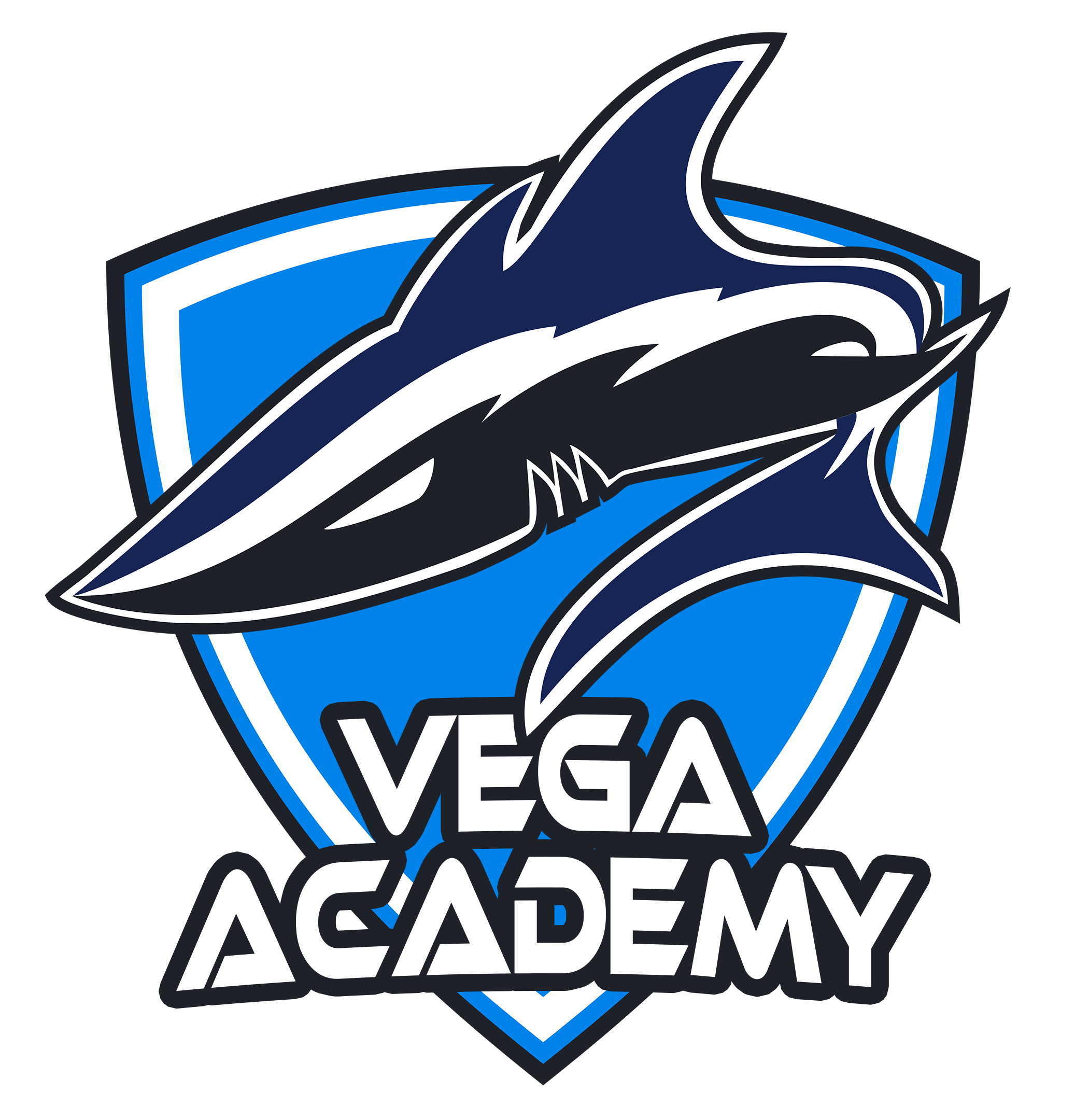 Vega Academy